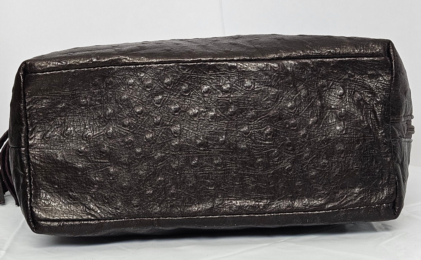 Tejrasila-Gorgeous Ostrich Chocolate brown leather handbag!Side pocket.Made in USA!